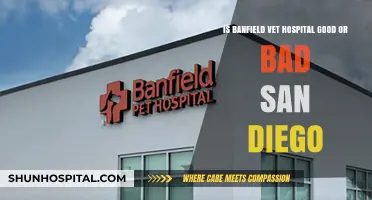 Banfield Vet Hospital San Diego: Honest Review of Services and Care