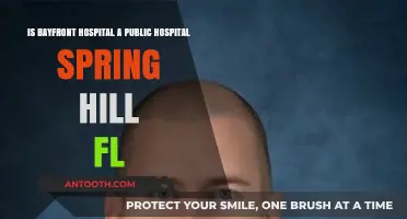 Is Bayfront Hospital in Spring Hill, FL a Public Facility?