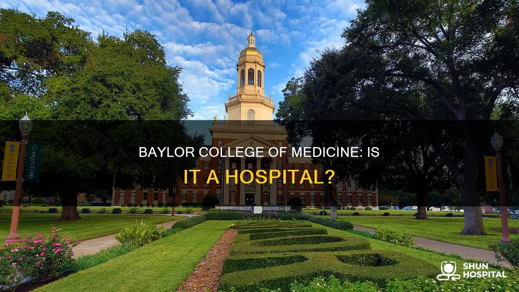 is baylor college of medicine a hospital