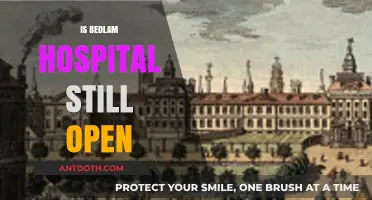 Is Bedlam Hospital Still Open? Exploring Its Current Status and Legacy