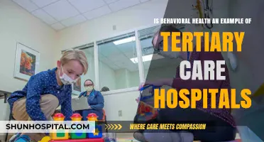 Behavioral Health in Tertiary Care: Specialized Hospital Services Explained