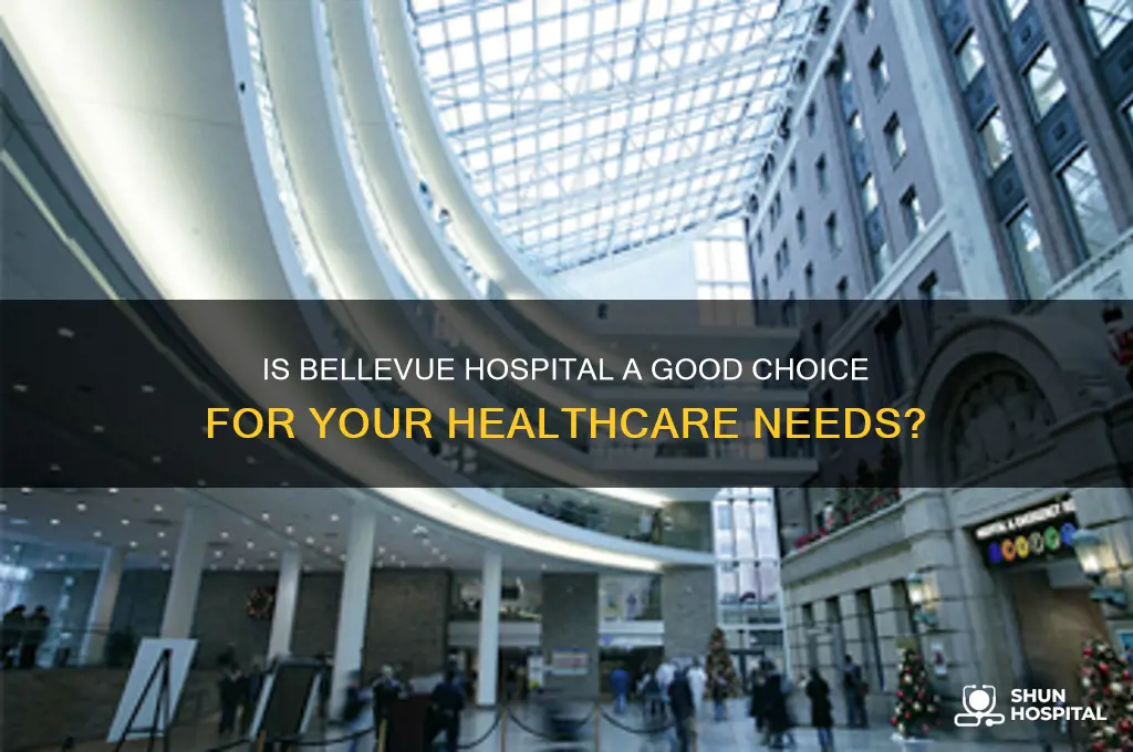 is bellevue a good hospital