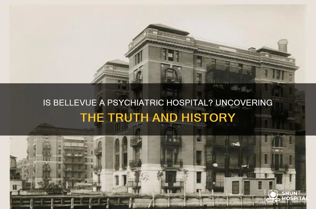 is bellevue a psychiatric hospital