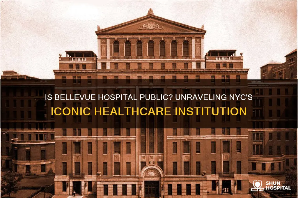 is bellevue a public hospital