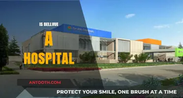 Is Bellevue a Hospital? Unraveling the Truth About This Iconic Institution