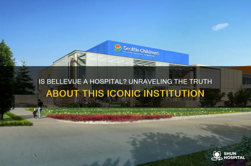 is bellvue a hospital