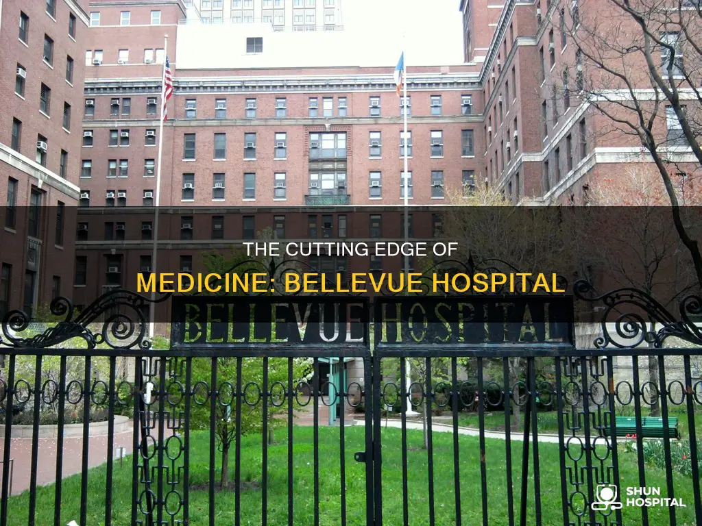is bellvue hospital state of the art