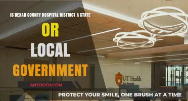 Understanding Bexar County Hospital District's Government Classification: State or Local?