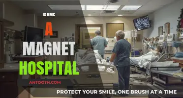 Is BMC a Magnet Hospital? Exploring Boston Medical Center's Status