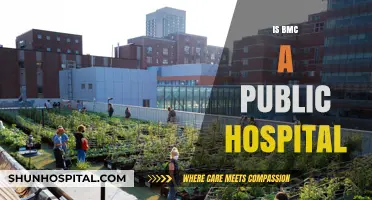 Is BMC a Public Hospital? Understanding Boston Medical Center's Status