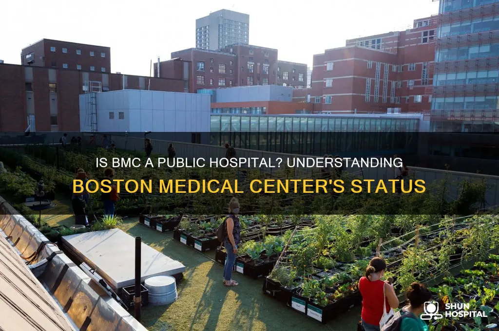 is bmc a public hospital