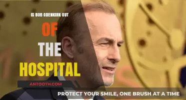 Bob Odenkirk Discharged: What We Know So Far