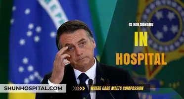 Bolsonaro Hospitalized: Latest Updates on Brazil's Former President's Health