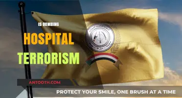 Bombing Hospitals: Act of War or Terrorism?