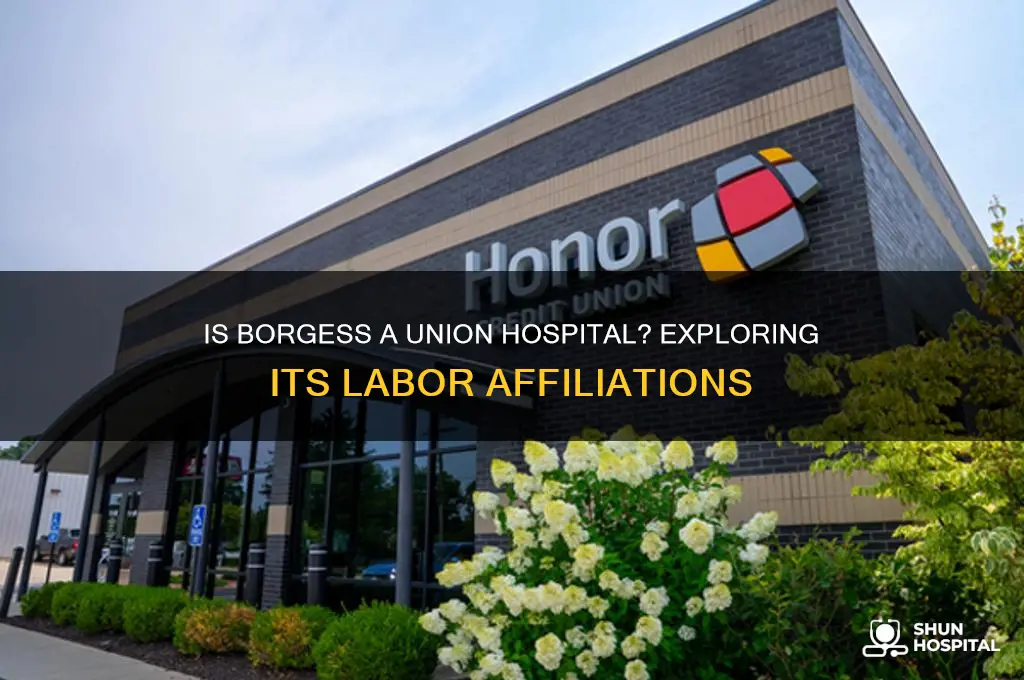 is borgess a union hospital
