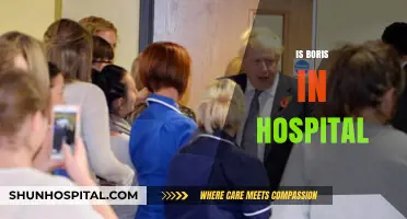 Is Boris in Hospital? Latest Updates on His Health Status