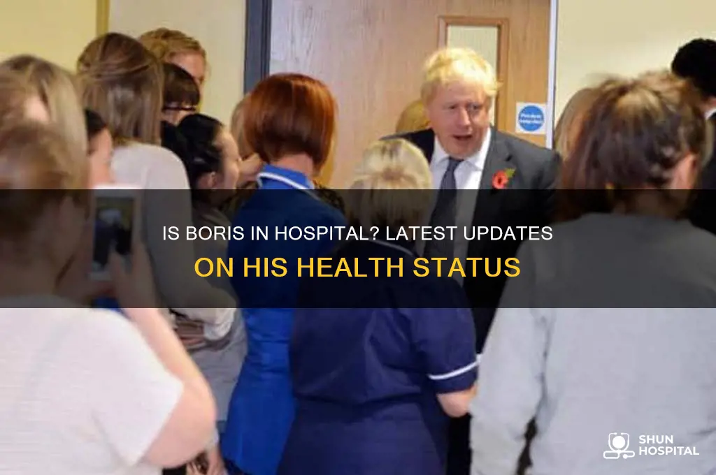 is boris in hospital