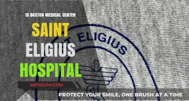 Saint Eligius Hospital: Boston Medical Center's Real-Life Inspiration