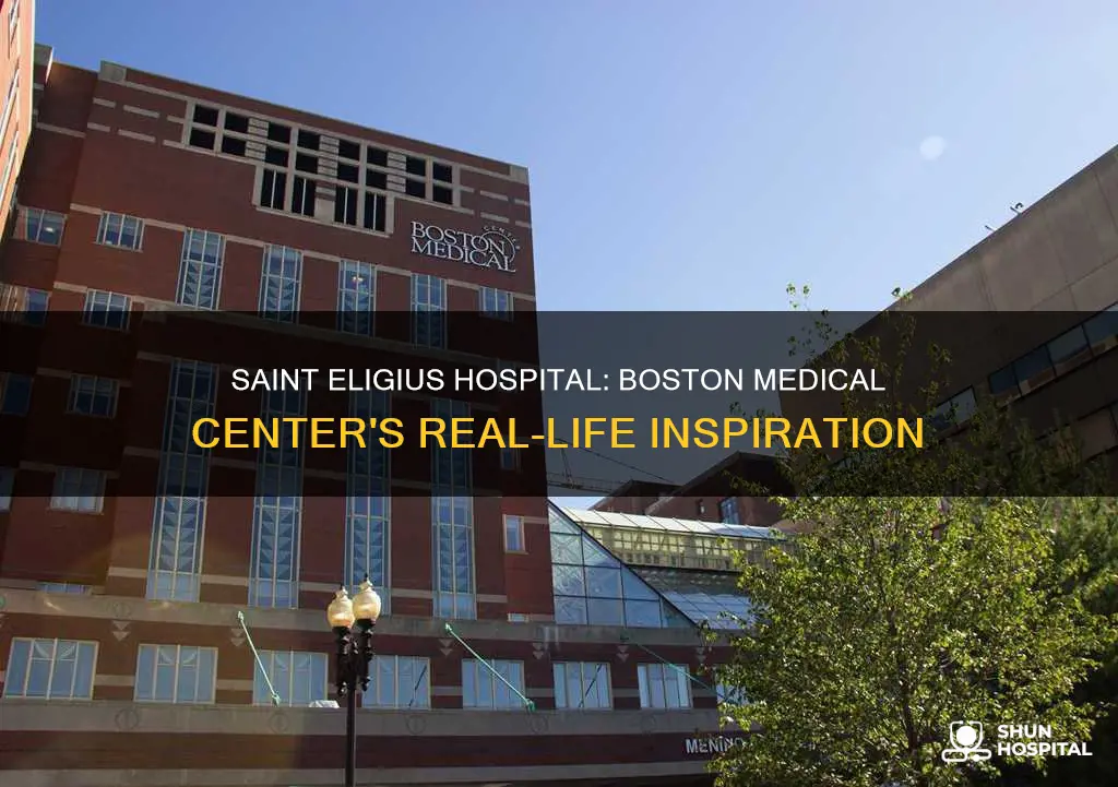 is boston medical center saint eligius hospital