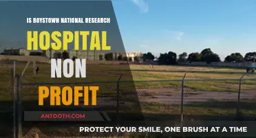Boystown National Research Hospital: A Non-Profit?