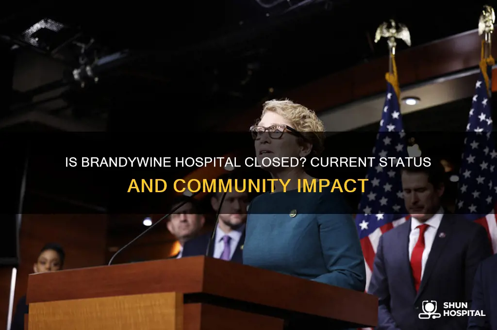is brandywine hospital closed