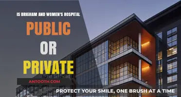 Is Brigham and Women's Hospital Public or Private? Exploring Ownership