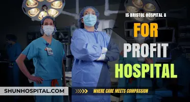 Bristol Hospital: For-Profit or Not?