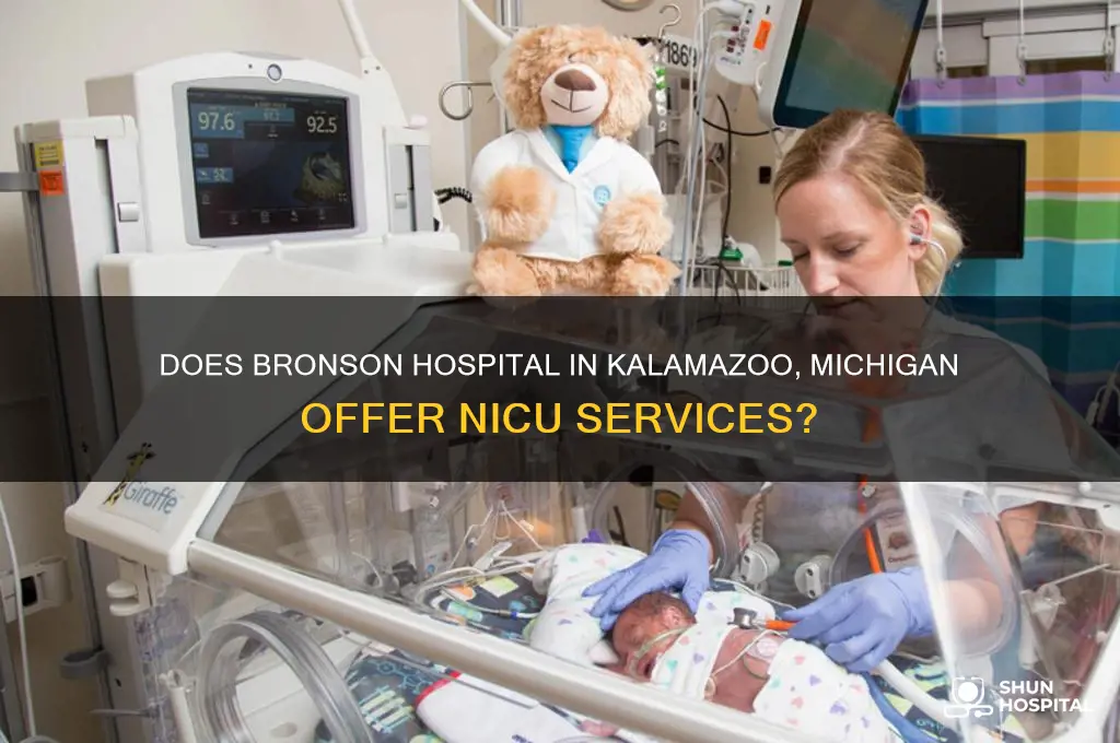 is bronson hospital in kalamazoo michigan have a nicu