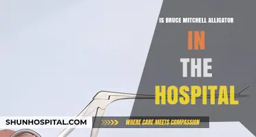 Alligator Wrestling: Bruce Mitchell's Hospital Adventure