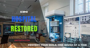 Bryce Hospital Restoration: Reviving History or Preserving the Past?