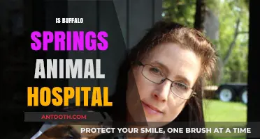 Buffalo Springs Animal Hospital: Services, Reviews, and What to Expect