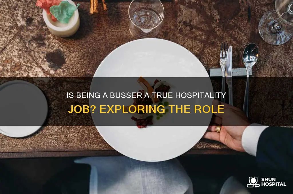 is busser a hospitality job