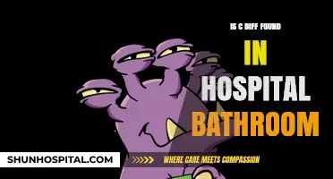 C. diff in Hospitals: Bathroom Bacteria?