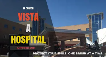 Is Canyon Vista a Hospital? Unraveling the Truth Behind the Name