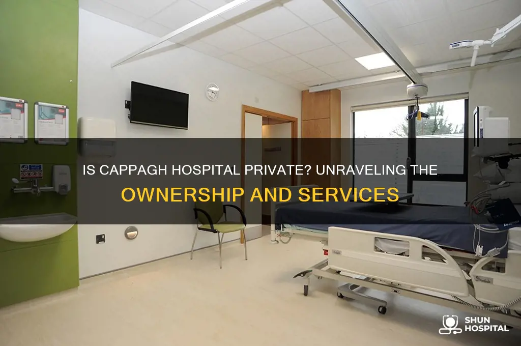 is cappagh hospital private