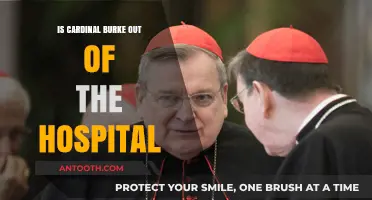 Cardinal Burke's Health: Out of Hospital?
