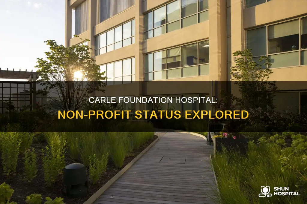 is carle foundation hospital a non-profit