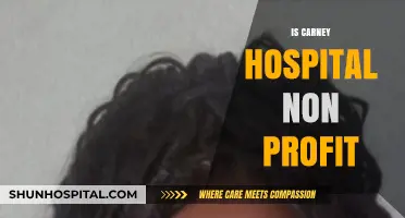 Is Carney Hospital Non-Profit? Uncovering Its Financial and Operational Status