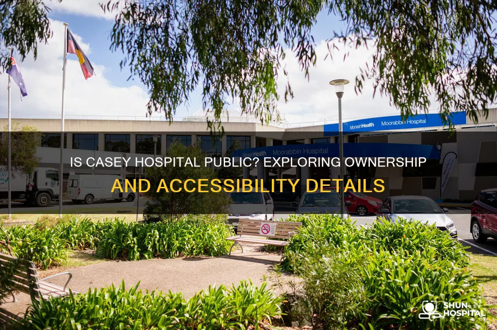 is casey hospital public