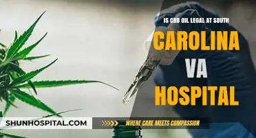 CBD Oil Legality at South Carolina VA Hospitals: What You Need to Know