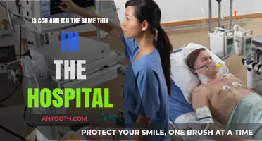 CCU vs. ICU: Understanding Critical Care Unit Differences in Hospitals