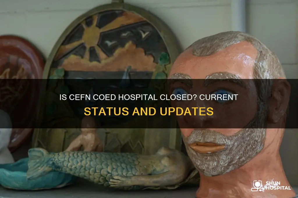 is cefn coed hospital closed