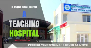 Dupage Hospital: A Teaching Facility?