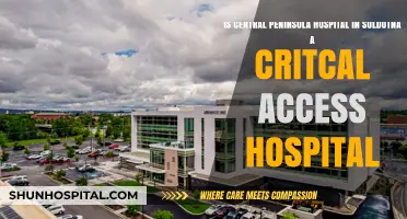 Central Peninsula Hospital in Soldotna: Critical Access Hospital Status Explained