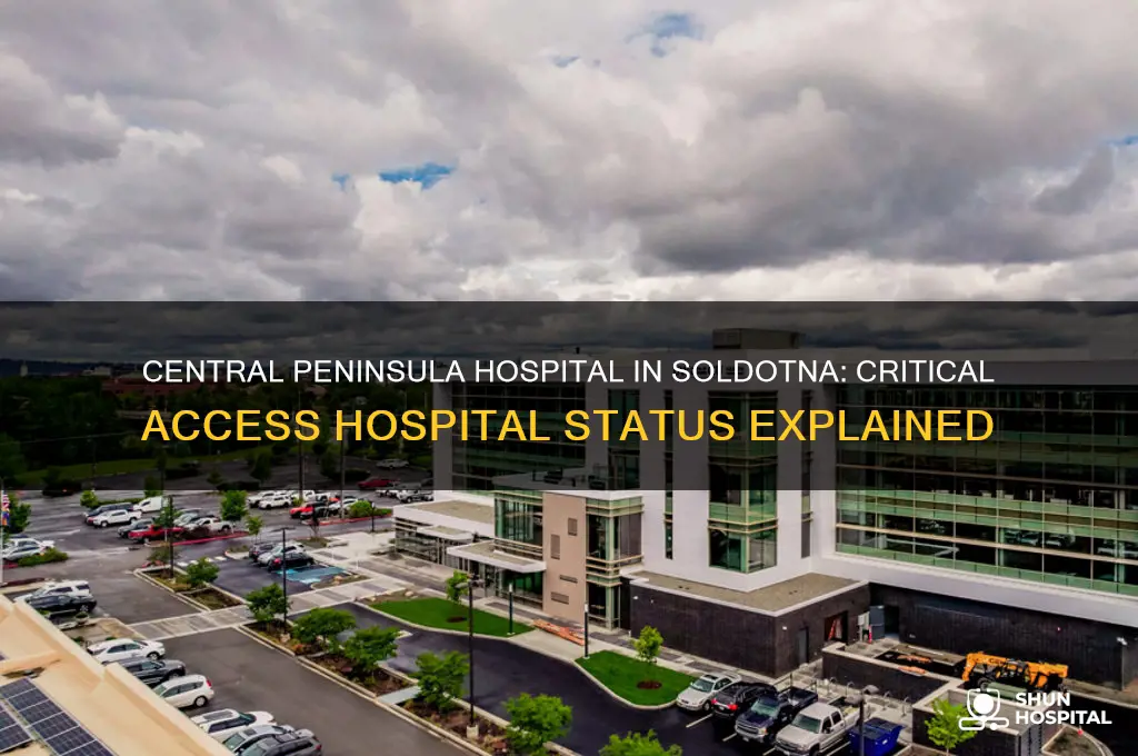 is central peninsula hospital in soldotna a critcal access hospital