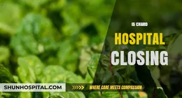 Is Chard Hospital Closing? Unraveling the Truth Behind the Rumors