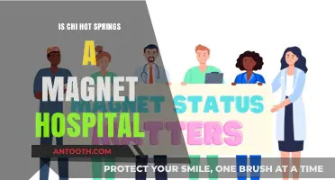 Chi Hot Springs: A Magnet Hospital?