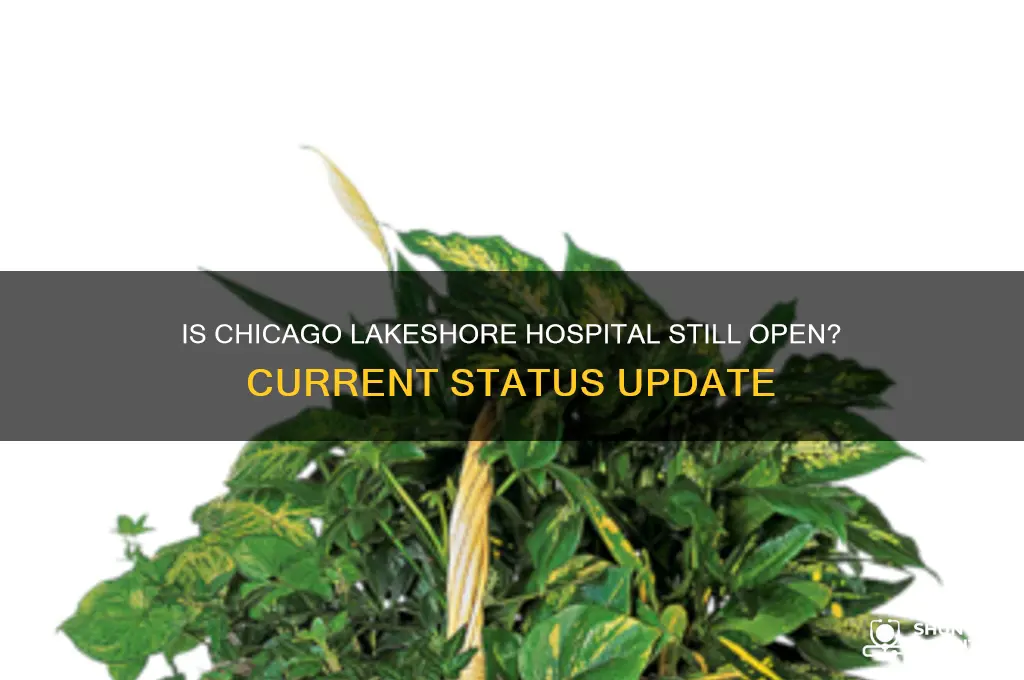 is chicago lakeshore hospital open