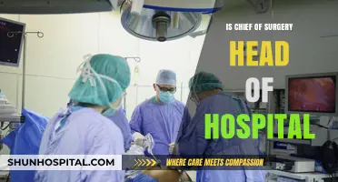 Who's the Hospital Boss? Chief of Surgery's Role Explained