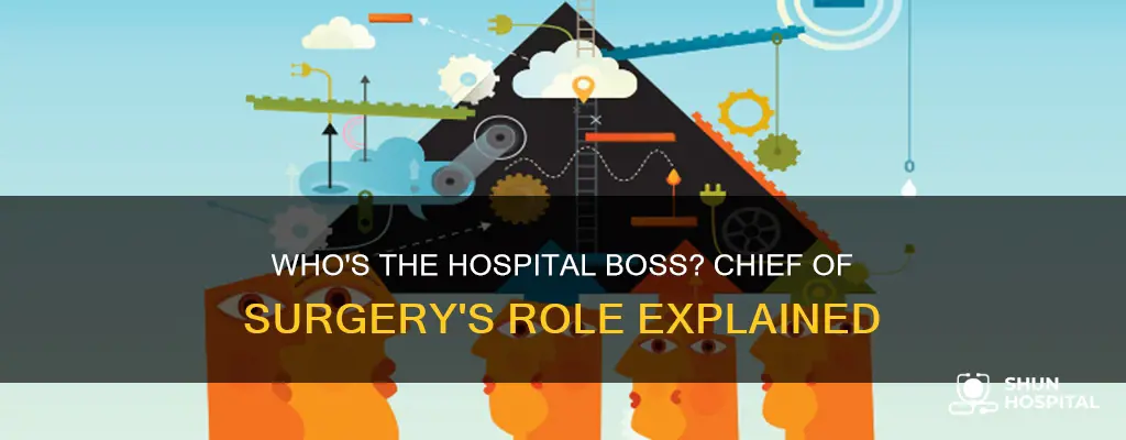 is chief of surgery head of hospital